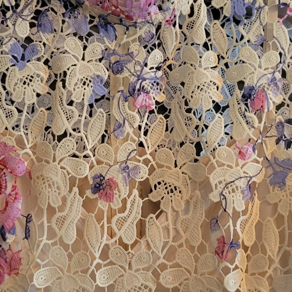 Beautiful, new lace dress! - Picture 3 of 4